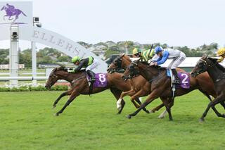 2018 CollinsonForex Karaka Cup winner August Edition (NZ). Photo: Trish Dunell.